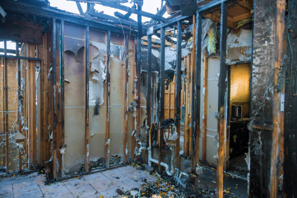 Professional Fire Damage Removal technician working in Roseville, MN